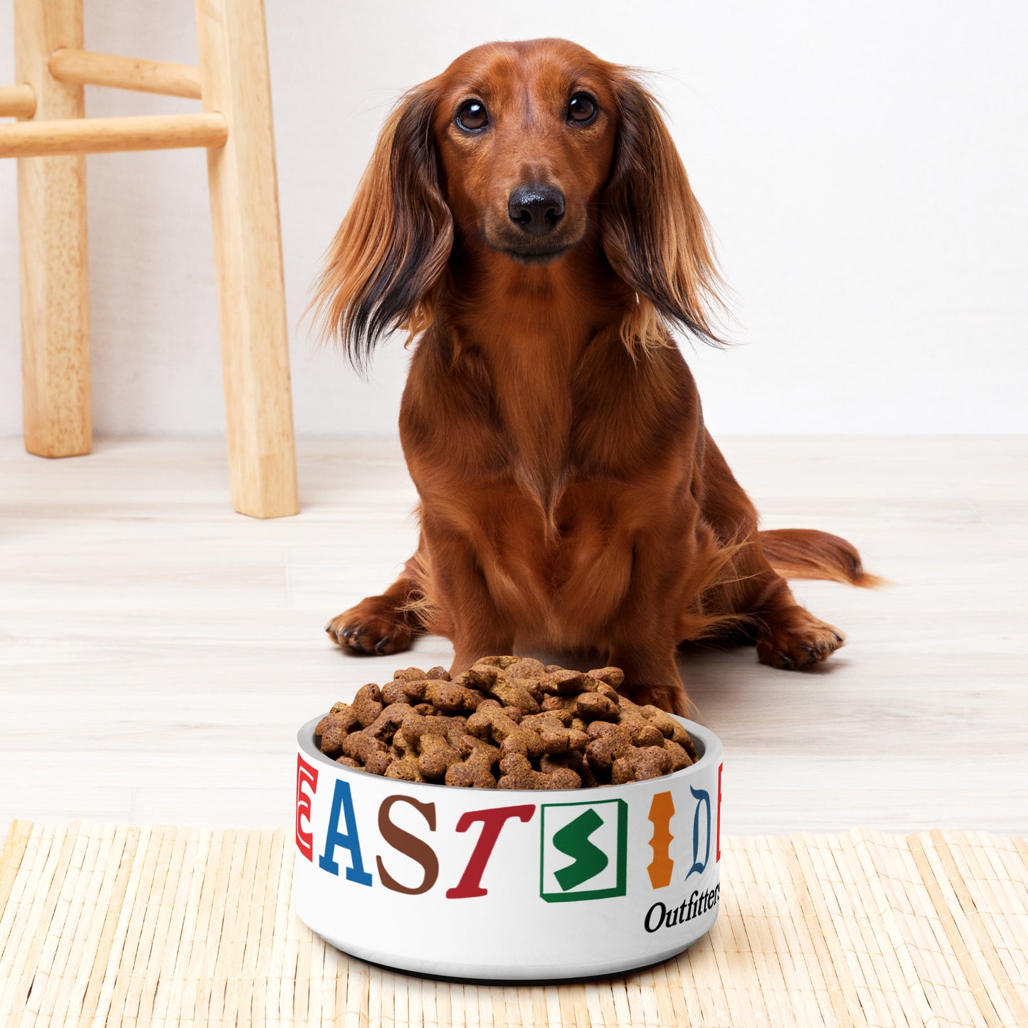 Best Side Pet Bowl